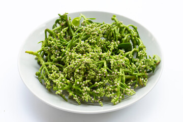 Ceylon Spinach flower on white background.