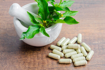 Pile of herbal medicine capsules.