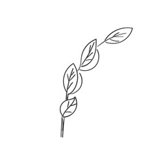 vintage floral elements doodle vector. Elements flowers, branches, swashes and flourishes