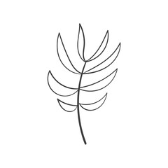 Hand Drawn Botanical Leaf Doodle Wildflower