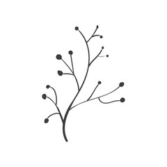 Hand Drawn Botanical Leaf Doodle Wildflower