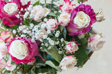 White roses with red edging in a bouquet among green leaves from above
