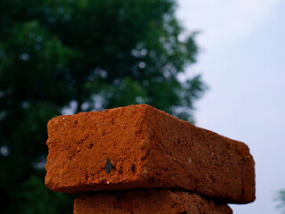 Construction brick in red color industrial material presented isolated on green natural blur background.