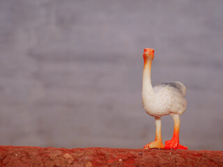 Duck bird plastic toy animal presentation at white backdrop, kids playing object natural image.