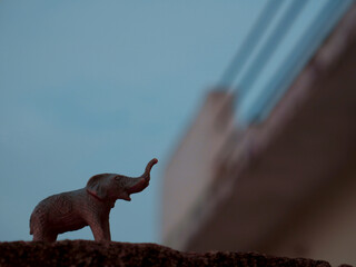 Plastic Elephant toy animal presentation near house architecture blur with sky background.