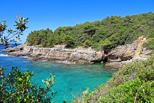beautiful bay in croatia on the adriatic sea with stone cliffs and turquoise blue water, popular touristic destination in istria, landscape shot of stoja beach in pula