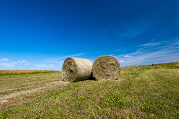 Round hale bays on the top of a hill at summertime, deep blue sky on the background.