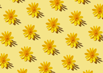 Trendy hard shadow sun light yellow dandelion or chamomile daisy flower on a pastel background. Isometric hot summer or fall seamless pattern wallpaper design. Minimal warm playful funky 90's concept.