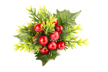 Christmas holly berry branch