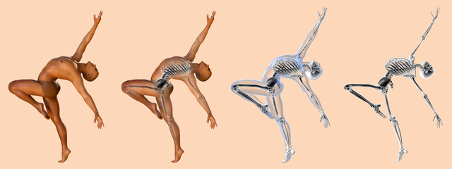 Anatomy of dancing and ballet, 3D illustration