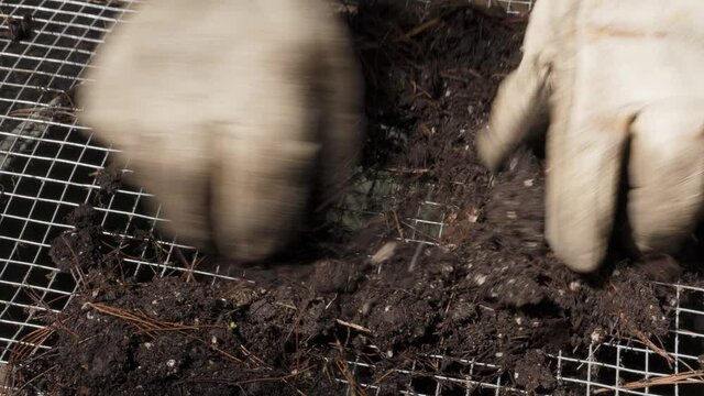 A gardener uses a screen sieve to sift rocks and organic matter from soil