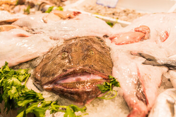 Various types of fish displayed in the market.