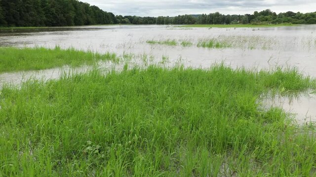 Ruhrhochwasser im Juli 2021 bei Schwerte - Ruhrwiesen