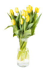 fresh yellow tulip flowers in glass vase isolated