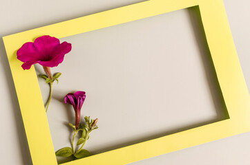 A yellow paper frame decorated with large red flowers in the background. A flat bright frame and floral decor are a place for text.