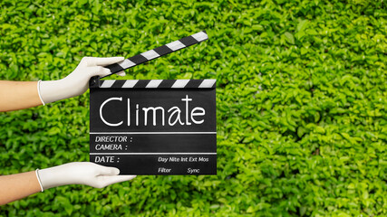 Hands holding film slate or movie clapper board on plant-green nature.Climate change concept.