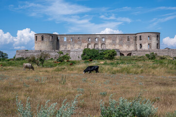 Borgholm castle ruin on Swedish Baltic sea island Öland. The castle dates to the 13th century but was ruined in the beginning of the 16th century.  