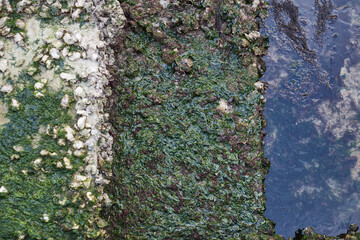 色々な背景素材_海辺_VariousWall_sea