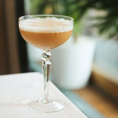 Delicious cocktail with egg white