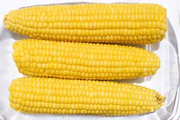 Fresh sweet corn cobs close up. Maize texture background. Yellow backdrop.