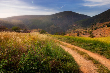 Naklejka premium landscape photo for the nature at the mountains in Bougaa sétif algeria