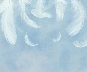Feathers on a blue background. Wallpaper for the room. Airy painted feathers.