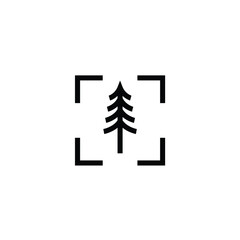 photography nature pine evergreen fir hemlock conifer coniferous larch pinus cypress logo design vector illustration