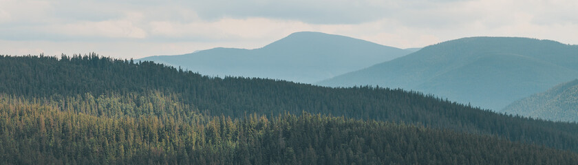 Carpathian mountains with forests. Summer nature, rural tourism.