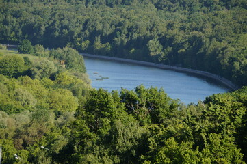 Obraz premium river in the forest