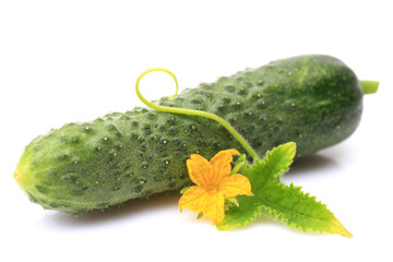 Fresh cucumbers on a white background