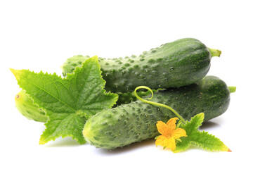 Fresh cucumbers on a white background
