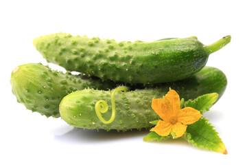 Fresh cucumbers on a white background