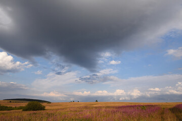 Fototapeta premium Auf dem Erzgebirgskamm bei Adolfsgrün im Grenzgebiet 