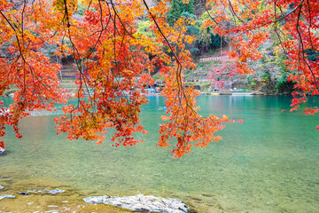 colorful leaves mountains and Katsura river in Arashiyama, landscape landmark and popular for...