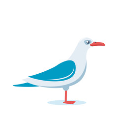 Blue and white seagull stand In side view. Vector flat style illustration.