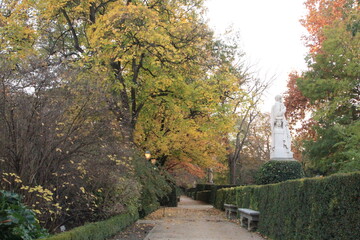 Fototapeta na wymiar Falling leaves in autumn in Madrid city centre