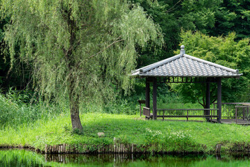 夏の古河公方公園の風景　7月