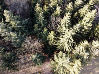 The climate crisis and forest dieback hit the forests in Germany and Bavaria very hard,...