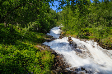 Fototapeta na wymiar A beautiful waterfall among the greenery of the forest under the blue sky in summer. Blurry jets of water of the stream on a long exposure Norway.
