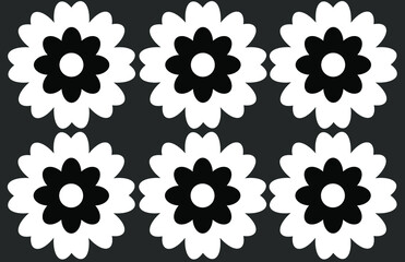 Monochrome daisy petals.