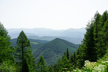 Fototapeta premium mountainous landscape. mountain landscape in Bucegi National Park in July 2021.