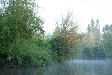 marais brume
