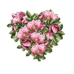 Botanical watercolor illustration of rosehip flower and leaf. Vintage hearts elements. Design for textiles, packaking, wallpapers, home decoration, sticker, poster, invitation card, postcard, wedding.