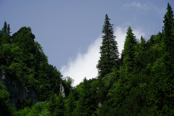 mountainous landscape. mountain landscape in Bucegi National Park in July 2021.