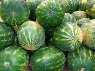Watermelons. Fresh subtropical fruits for sale on farmers market