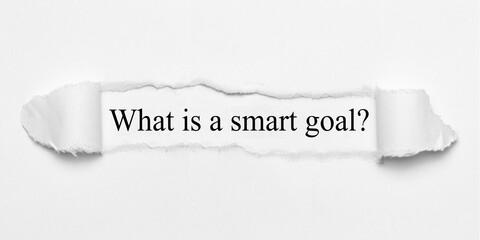 What is a smart goal?
