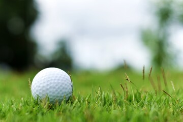 golf ball on green grass
