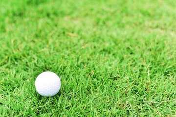 golf ball on green grass