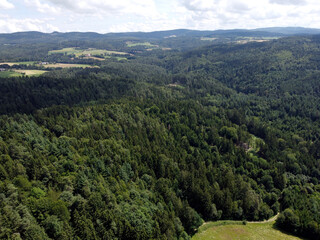 The climate crisis and forest dieback hit the forests in Germany and Bavaria very hard, photographed in 2021