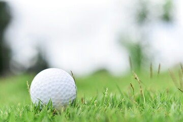golf ball on green grass